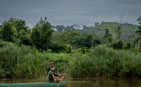 缅甸非法采矿导致湄公河污染严重