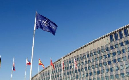 美国和北约酝酿新机制，协调向乌提供美制武器