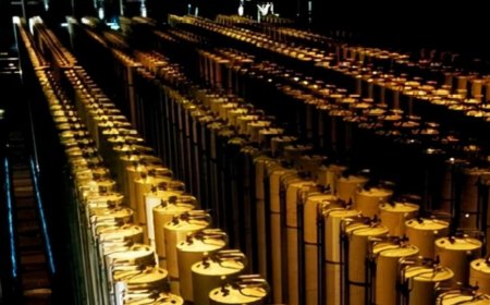 俄罗斯将审议废除与美国之间涉武器级钚处置协定