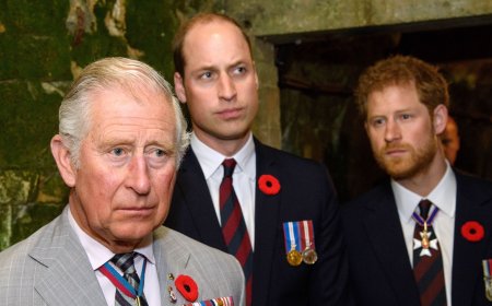 Prince Harry's Prince William Feud Is 'Different Beast' Than Rift With Dad