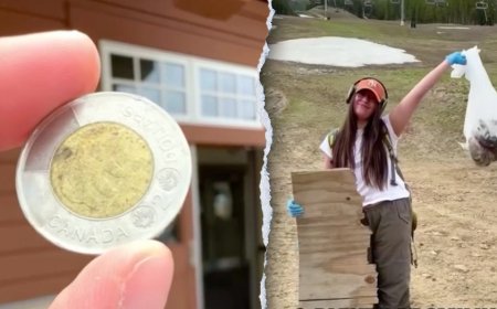 Mountain cleanup yields 780 pounds of lost items and strange finds in popular resort town