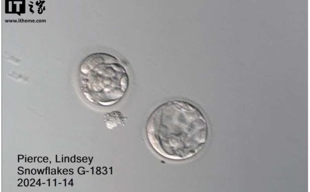 美国冷冻超 30 年胚胎成功孕育男婴