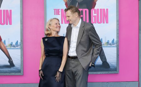 Liam Neeson and Pam Anderson Romance Backed By His Former Sister-in-Law