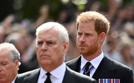 Prince Harry Denies Getting Into a ‘Physical Fight’ With Prince Andrew