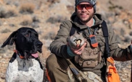 翻車意外摔下山谷　男重傷斷腿靠「忠犬引路」爬11個小時獲救