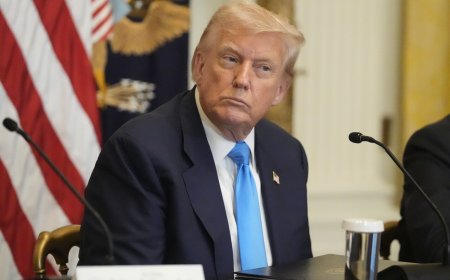 台灣關稅綁232條款！　謝金河：談判面臨3大壓力