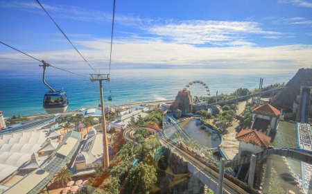 花蓮海洋公園「門票買大送小」　看最新超萌水獺、10米哥吉拉