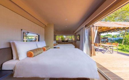 淡水「親子度假營」免費玩、爽住24hrs　桃園豪華露營1泊4食優惠