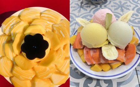 暑氣全消！6間好拍又好吃冰品必收藏　布丁芒果、滿滿水果山