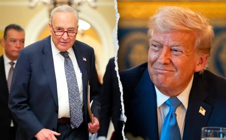 Trump accuses Senate Democrats of using nominee confirmations as leverage for funding deals