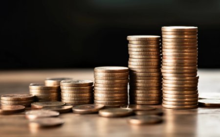 黑芝麻停牌，控股股东筹划公司控制权变更事项