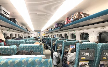 狂踢椅背講不聽！她暴吼1句「國小生大哭飆髒話」　網友力挺