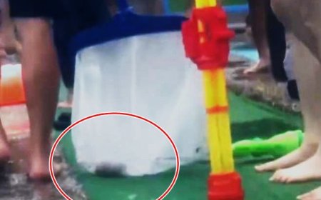 太噁！宜蘭童玩節戲水區驚現一坨糞便　緊急排水消毒