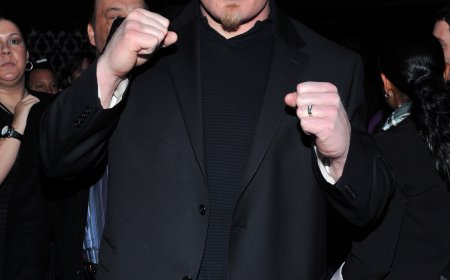 WWE Brock Lesnar Controversy and Misconduct Allegations Explained