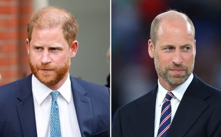 When Was the Last Time Prince Harry and Prince William Were Together?