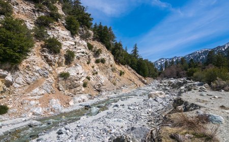 Cries for help lead rescuers to injured hiker after terrifying 25-foot plunge at popular waterfall