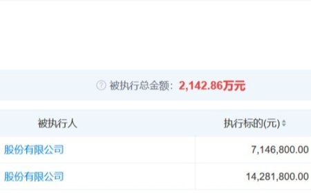 锤子科技新增 2 条被执行人信息，执行标的合计 2142 万余元