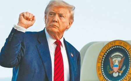 太早奉上台積電！業者嘆政府「沒Guts」：現在談關稅無牌可打