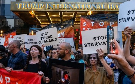 近600名以色列前高官集体致信，呼吁特朗普协助终止加沙冲突