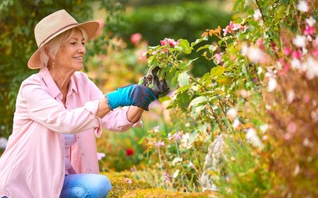 Getting ready to harvest your garden? Get these helpful tools