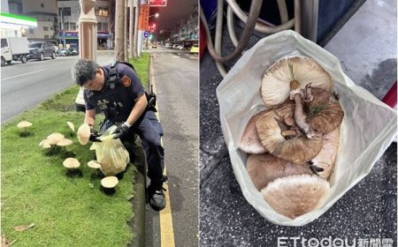 豪雨後奇景！「安全島拔香菇」基層警炸鍋　高雄市府說話了