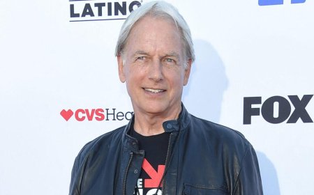 Mark Harmon's Possible 'NCIS' Return Reportedly Sparks Tension Amid Plummeting Viewership