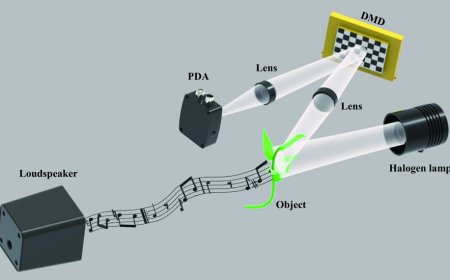 我国科学家研发视觉麦克风：可“看”到贝多芬《致爱丽丝》声音片段