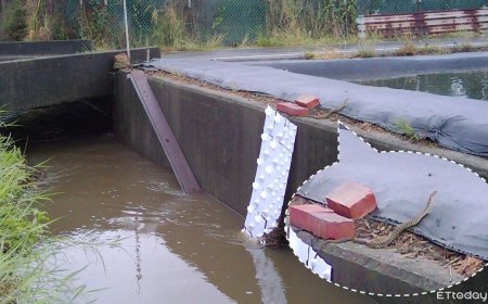 台南農田溝渠設「3D列印蛇類爬梯」　保育類草花蛇成功爬出