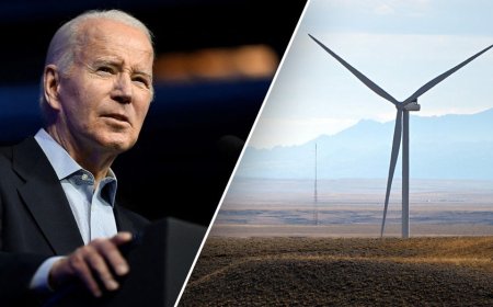 EXCLUSIVE: Trump admin nixes giant wind farm approved 'last-minute' by Biden team