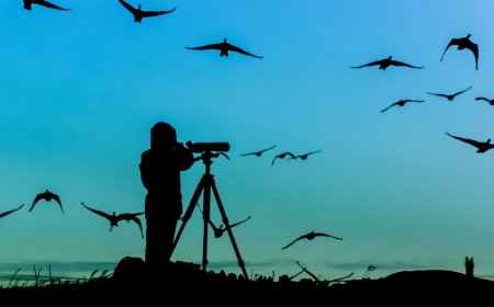 Spot more birds with these must-have gadgets for bird watchers