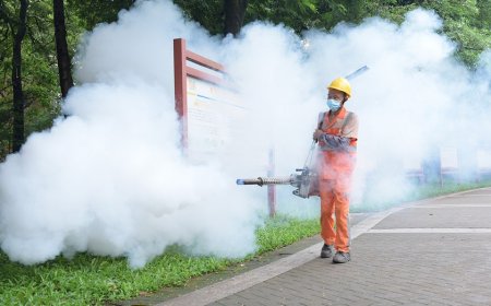 CDC issues China travel warning over chikungunya virus outbreak