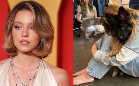 Trolls Target Sydney Sweeney's German Shepherd Branding It 'Nazi Pet' In Bizarre Backlash Over Jeans Ad