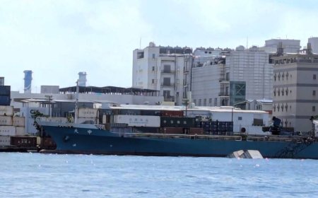 吊臂斷了！高雄港吊車翻覆撞貨船「2貨櫃落海」　駕駛驚險逃生