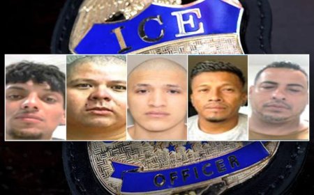 Trump administration arrests 'worst of the worst' criminal illegal immigrants in enforcement sweep