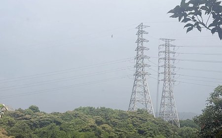 詭異！龜山高壓電塔吊掛男屍「疑死亡超過3天」　死者身分曝