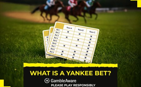 What is a Yankee bet?
