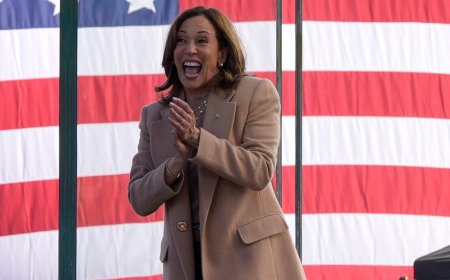 Carville claims Democrats don't want to associate with anyone from failed 2024 Harris campaign in 2028