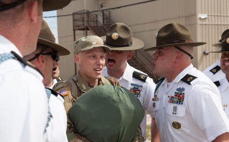 Defense Secretary Hegseth considers reversing Army ban on aggressive 'shark attack' training