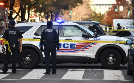 White House launches federal security blitz as president vows to end DC 'crime plague'