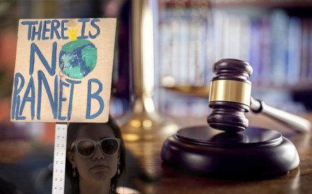 Climate lawfare campaign dealt blow in South Carolina