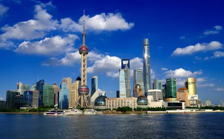 7月我国出口继续高增，贸易转移现象突出