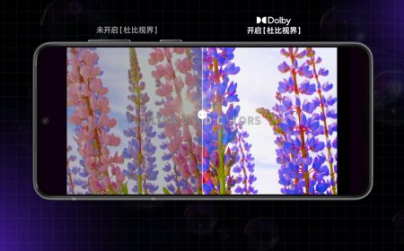 支持杜比视界视频：国产 NAS 系统飞牛 fnOS 开启安卓端 App v1.19.1 版本升级