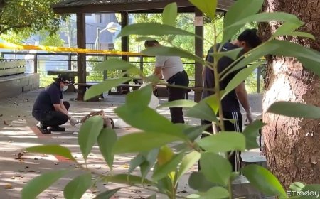 快訊／台東鯉魚山涼亭　男子「赤裸上身」死亡