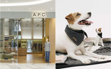 A.P.C.絕美新店進駐Dream Plaza！「獨賣寵物系列」皮革牽繩、領巾太時髦