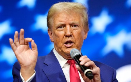 Joy Reid claims Trump's plan is to deport 'Brown people,' then bring them back as 'slave labor'