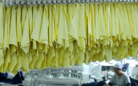 【专访】张晓涛：全球经贸秩序正在重塑，中国制造要从“量”向“质”转型