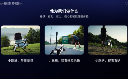 维他动力发布国内首个智能伴随机器人，年底上市