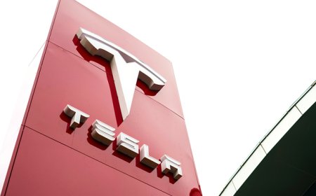 叫停自研芯片，马斯克据悉下令关闭Dojo项目