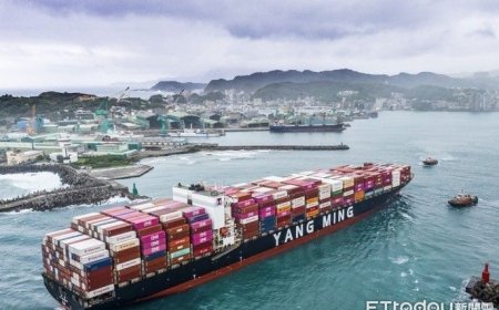 陽明海運7月營收月增12.16%、年減39.18%　市場好壞因素並存