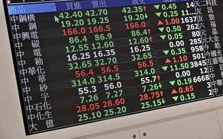 台股平衡基金偏多分散布局跨「關」卡　8檔績效勝大盤